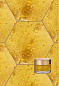 Дневной крем для лица Illuminating Skin Bee Royal